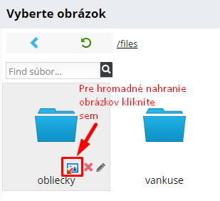 Hromadné vloženie obrázkov k produktu