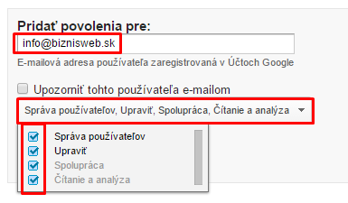 Google Analytics pristup